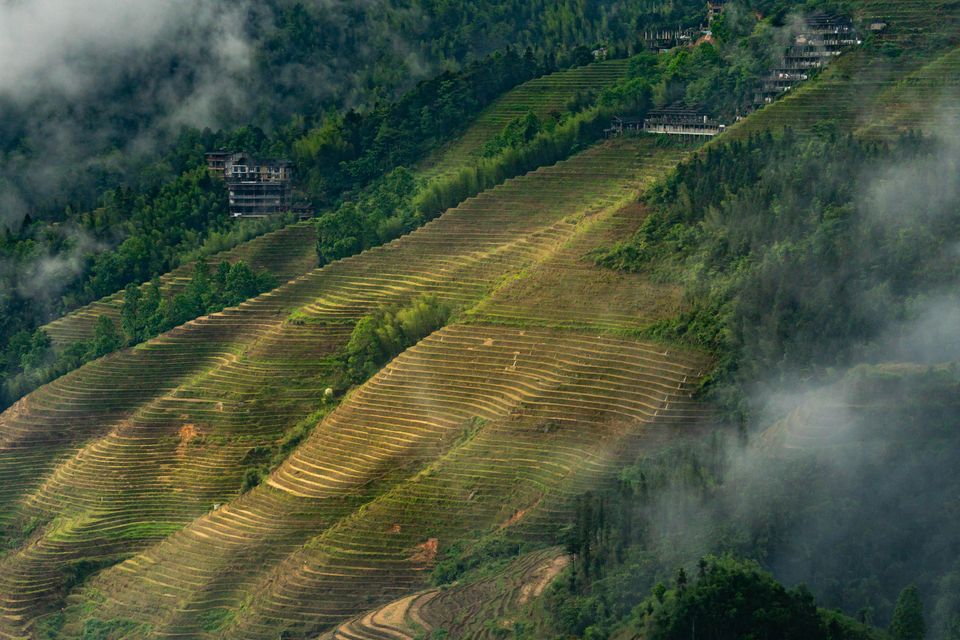 Longji Terraces